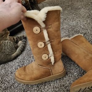 Tall Chestnut Bailey Button Uggs